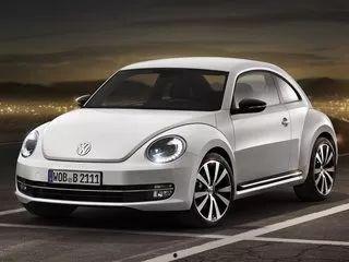 爆料甲壳虫开挂视频下载,视频下载揭示惊人内幕