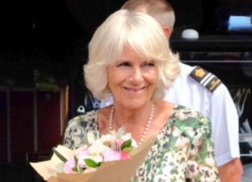 英媒爆料卡米拉视频播放,引发舆论热议  第2张