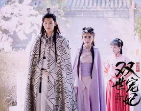 双世宠妃免费观看在线全集,穿越时空的甜蜜爱恋  第3张