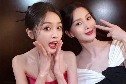 明星吃瓜黄料视频大全免费观看,明星吃瓜黄料视频大全免费观看大揭秘