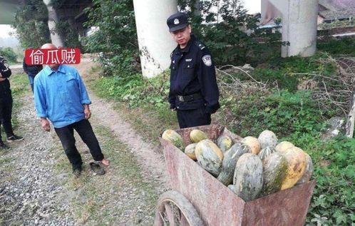 射阳吃瓜最新事件爆料视频,最新爆料视频揭露惊人内幕  第3张