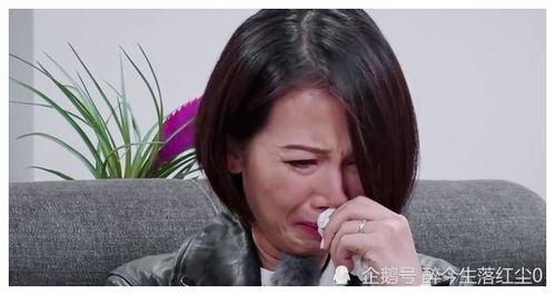 蔡少芬爆料哥哥视频大全,揭秘娱乐圈不为人知的真相  第2张