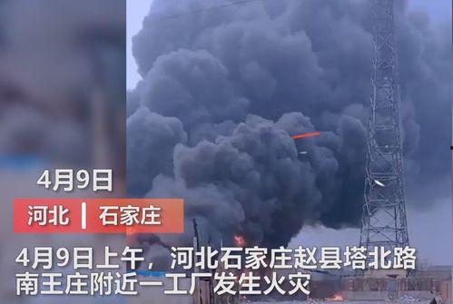 沈阳爆料媒体曝光事件视频,事件视频曝光引发社会关注