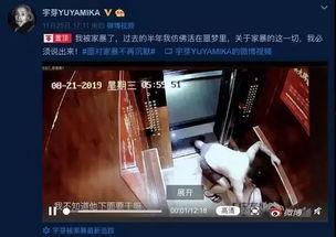 网红爆料家暴视频播放,网红爆料引发社会关注 第3张 网红爆料家暴视频播放,网红爆料引发社会关注 第3张