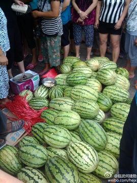 圈内爆料瓜农抄的谁的料,瓜农抄料背后的神秘人物  第2张