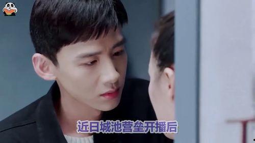 马思纯白敬亭圈内爆料,揭秘娱乐圈背后的真实故事