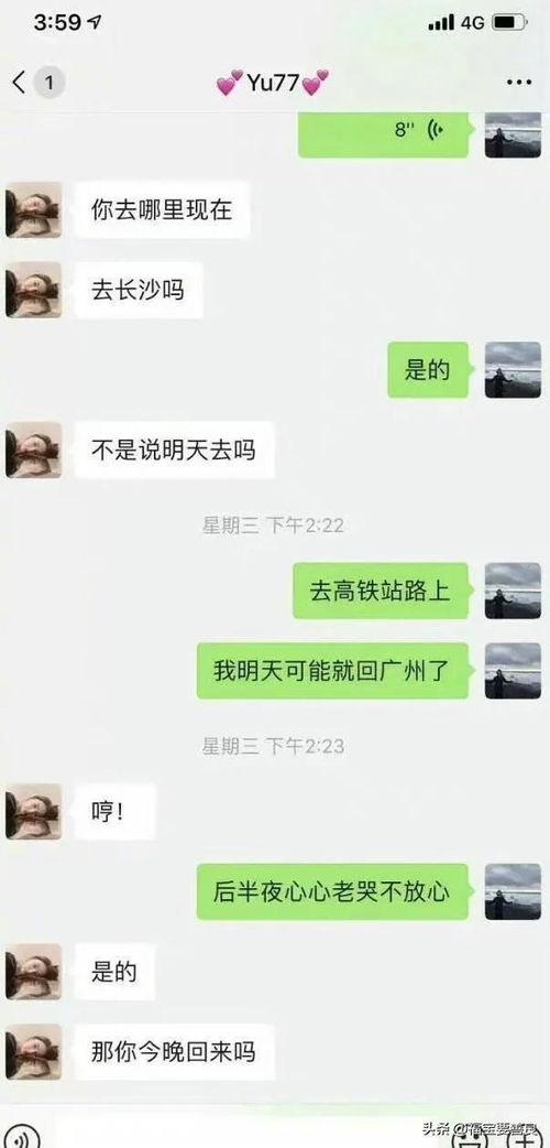 免费吃瓜qq 聊天记录,一场网络社交的狂欢盛宴  第2张