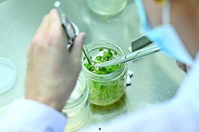 手足情土豆在线观看,温情在线观看，共度美好时光  第2张