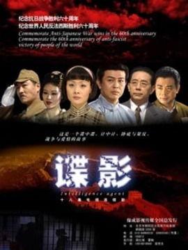 电视剧谍影在线观看,揭秘隐秘战线，揭秘特工风云