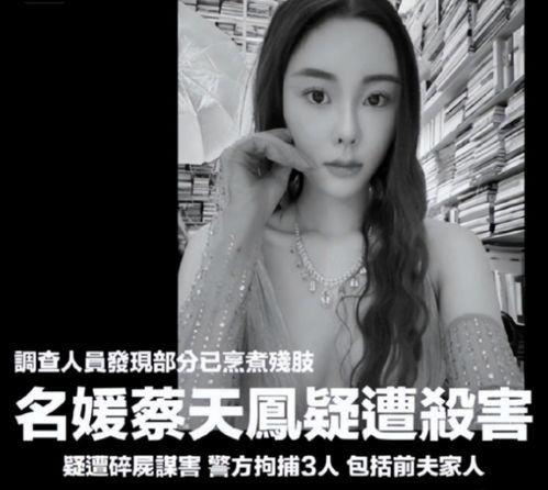 蔡天凤最新爆料新闻视频,揭秘事件背后惊人真相  第2张