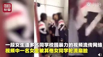 校园女生爆料视频大全,揭秘校园生活那些事儿