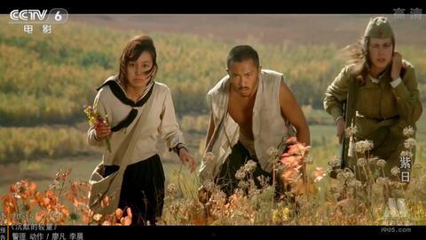 电影紫日在线观看,探寻历史与情感的交织之旅