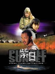 电影紫日在线观看,探寻历史与情感的交织之旅  第2张