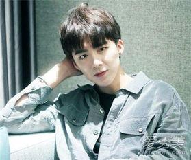 博主爆料刘宇宁事件视频,揭秘背后惊人真相