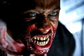 群斗电影在线观看,在线观看，热血沸腾的街头对决  第2张