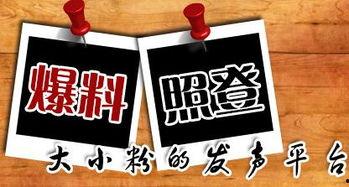 怎样爆料重庆新闻,新闻爆料背后的真相与线索