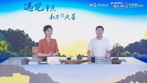 怎样爆料重庆新闻,新闻爆料背后的真相与线索  第3张