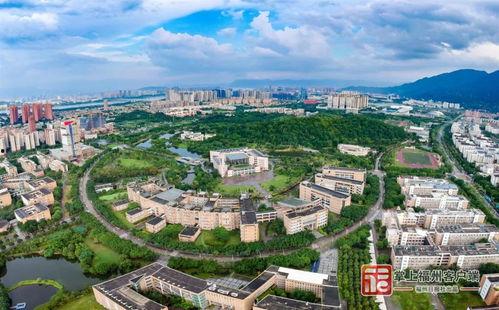 福州大学城爆料案件最新,真相揭秘，校园安全再引关注