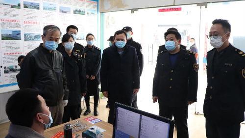 度假岛最新爆料新闻视频,最新爆料视频曝光惊人内幕