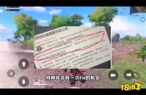 度假岛最新爆料新闻视频,最新爆料视频曝光惊人内幕 第3张 度假岛最新爆料新闻视频,最新爆料视频曝光惊人内幕 第3张