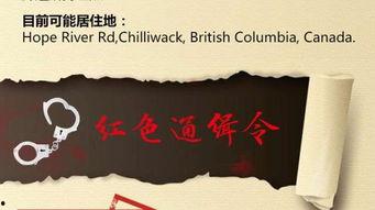 藏身处最新爆料,揭秘神秘藏身之地最新动态  第2张