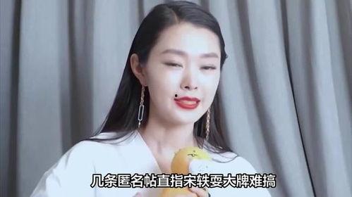 宋轶最新的爆料,娱乐圈背后的惊人真相  第3张