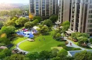 成都公园爆料事件视频大全,揭秘公园里的那些事儿  第1张