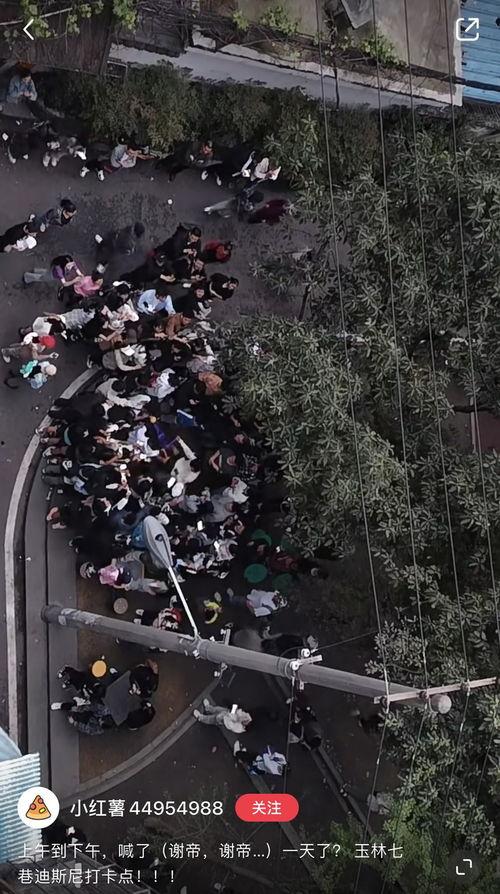 成都公园爆料事件视频大全,揭秘公园里的那些事儿  第3张