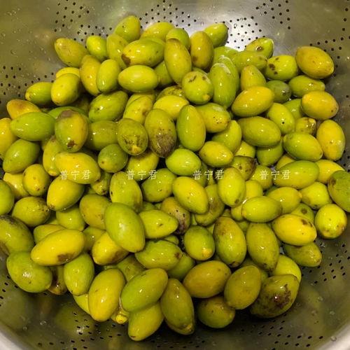 香港橄榄菜爆料视频大全,揭秘幕后真相与精彩瞬间 第2张 香港橄榄菜爆料视频大全,揭秘幕后真相与精彩瞬间 第2张